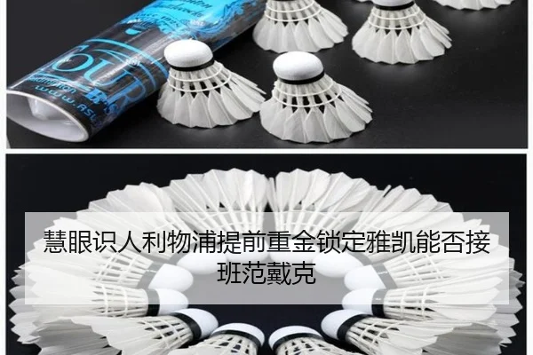 慧眼识人利物浦提前重金锁定雅凯能否接班范戴克